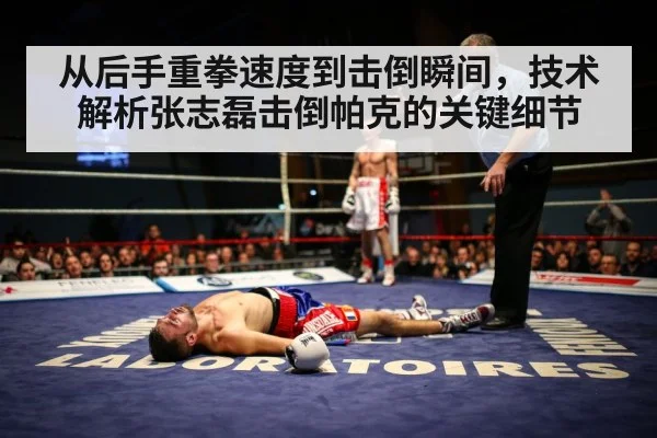 从后手重拳速度到击倒瞬间，技术解析张志磊击倒帕克的关键细节