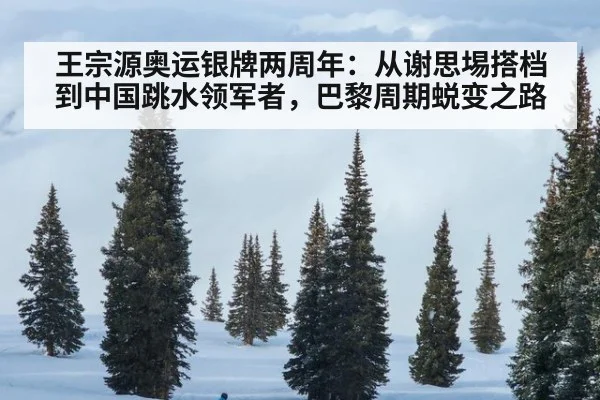 王宗源奥运银牌两周年：从谢思埸搭档到中国跳水领军者，巴黎周期蜕变之路 - jiuyou game