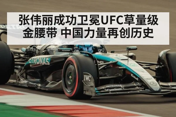张伟丽成功卫冕UFC草量级金腰带 中国力量再创历史 - jiuyou game