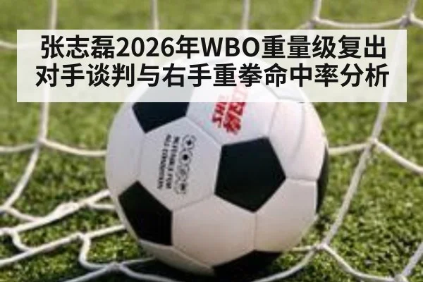 张志磊2026年WBO重量级复出对手谈判与右手重拳命中率分析 - jiuyou game